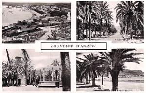 ARZEW 310